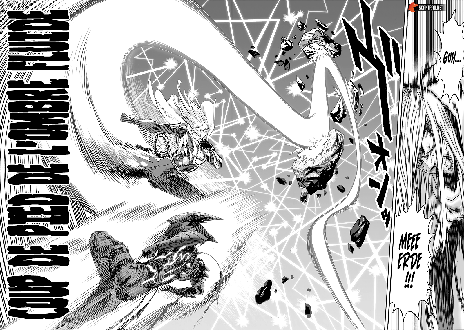 One Punch Man Scan 213 Vf