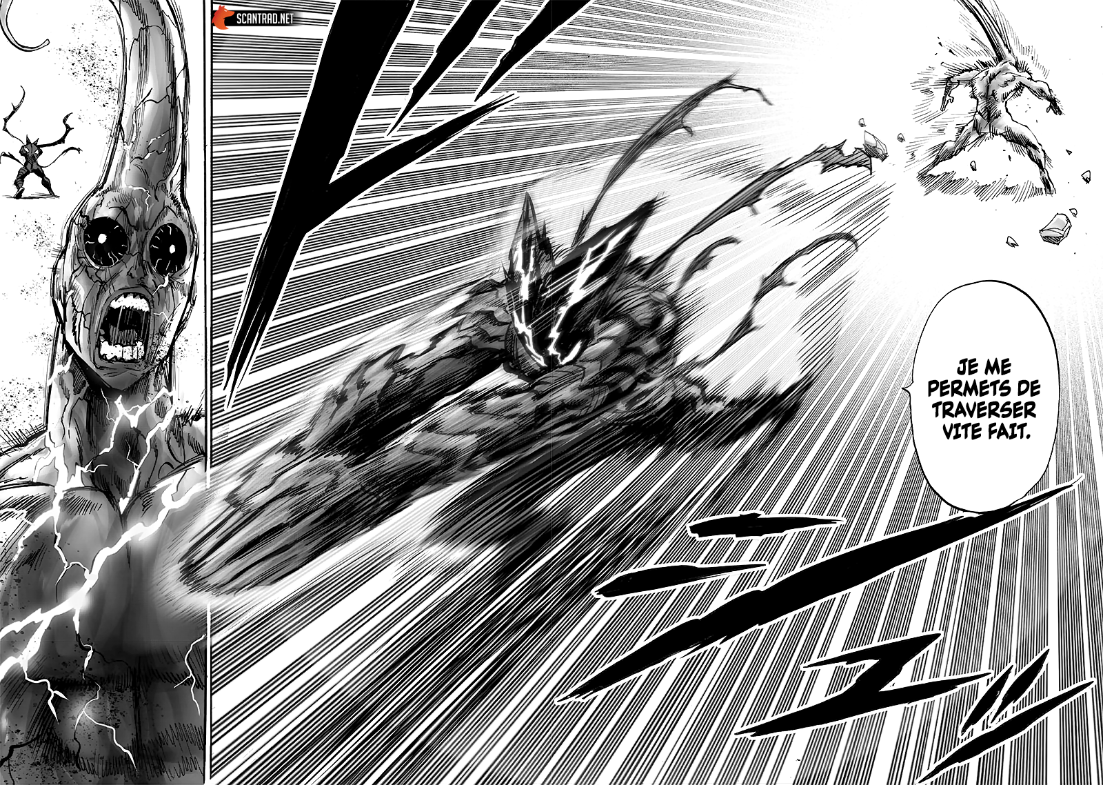 Scan One Punch Man 213 VF Lecture En Ligne - Lelmanga