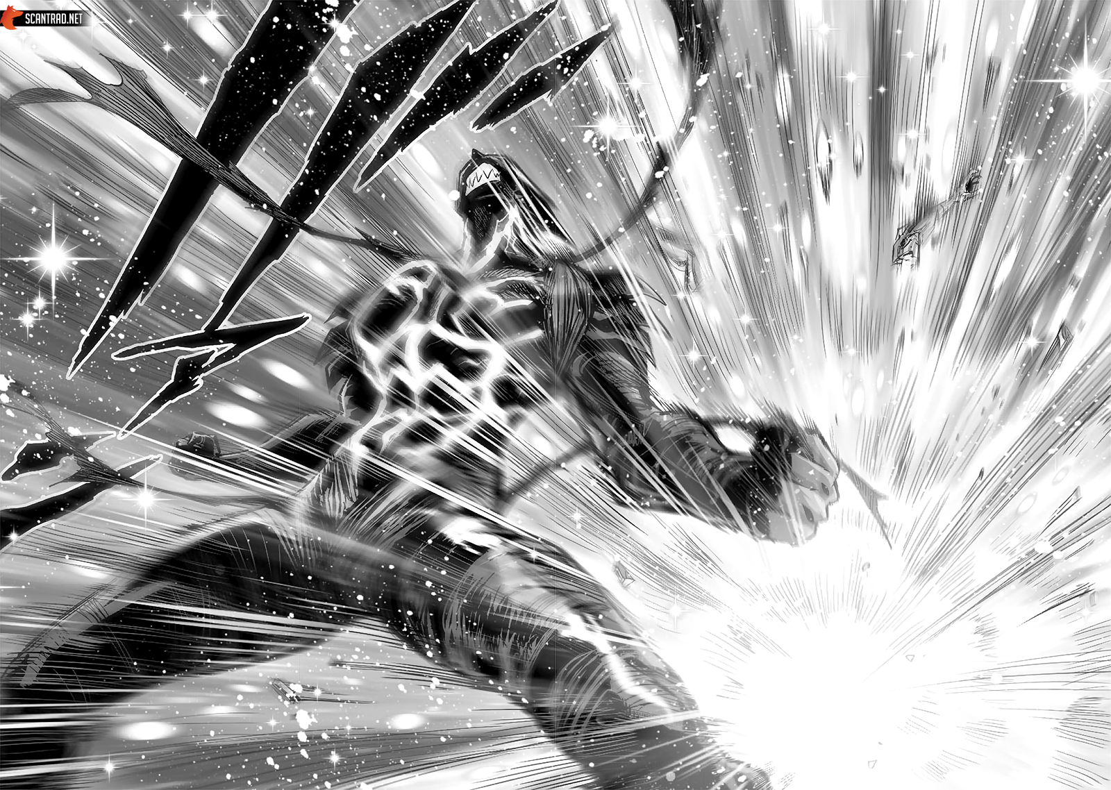 Scan One Punch Man 213 VF Lecture En Ligne - Lelmanga