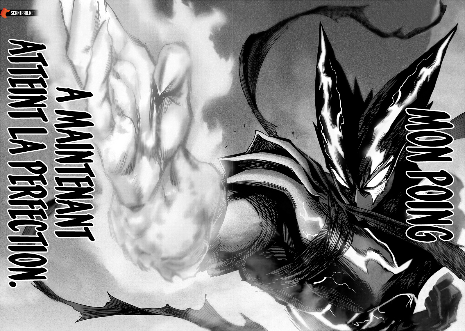 Scan One Punch Man 216 VF Lecture En Ligne - Lelmanga